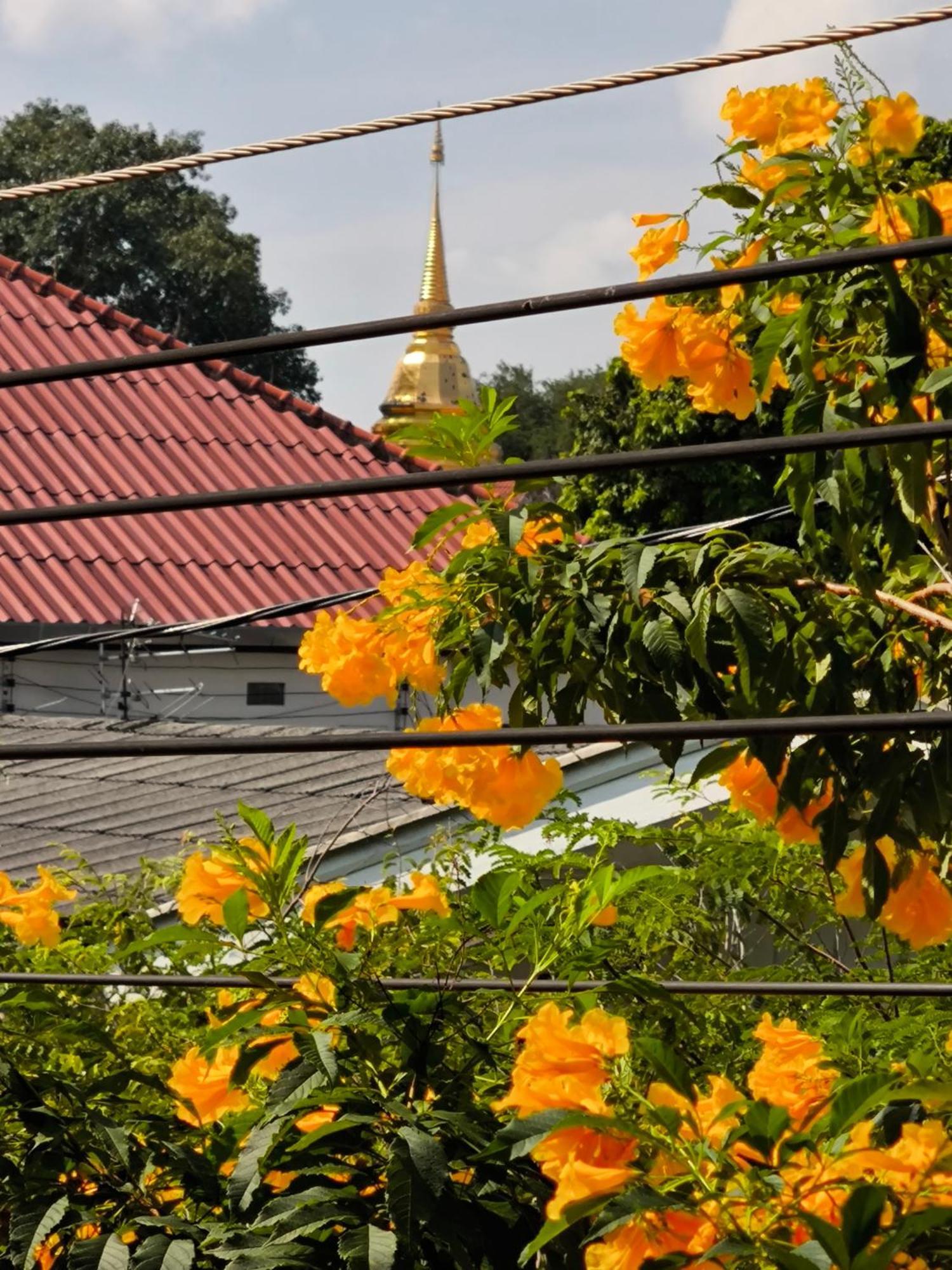 מלון צ'יאנג מאי Ratchiangsaen Flora House מראה חיצוני תמונה